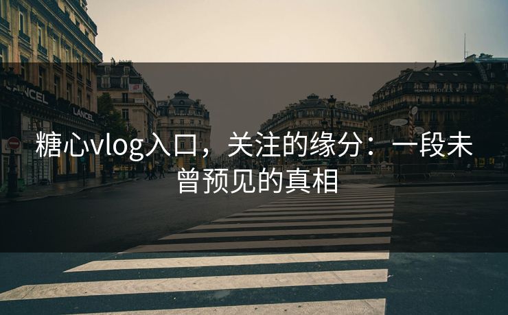 糖心vlog入口，关注的缘分：一段未曾预见的真相  第1张