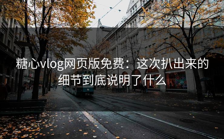 糖心vlog网页版免费：这次扒出来的细节到底说明了什么  第1张