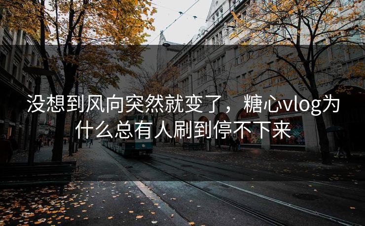 没想到风向突然就变了，糖心vlog为什么总有人刷到停不下来