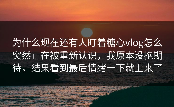 为什么现在还有人盯着糖心vlog怎么突然正在被重新认识，我原本没抱期待，结果看到最后情绪一下就上来了