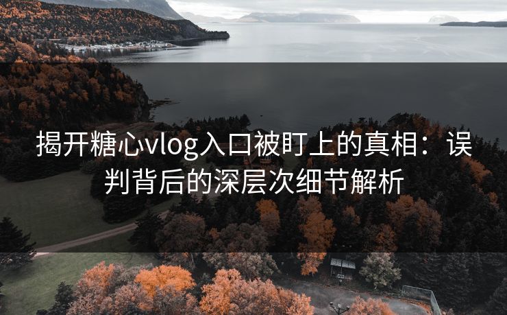 揭开糖心vlog入口被盯上的真相：误判背后的深层次细节解析