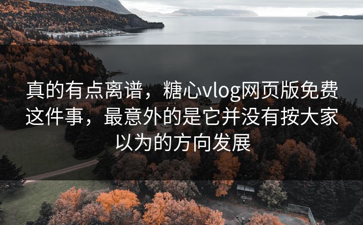 真的有点离谱，糖心vlog网页版免费这件事，最意外的是它并没有按大家以为的方向发展
