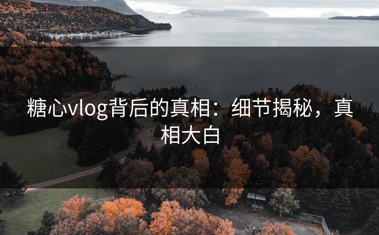 糖心vlog背后的真相：细节揭秘，真相大白