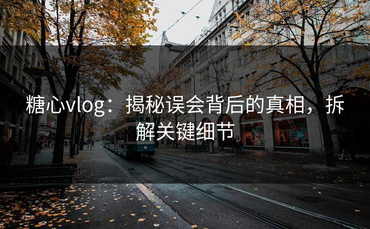 糖心vlog：揭秘误会背后的真相，拆解关键细节