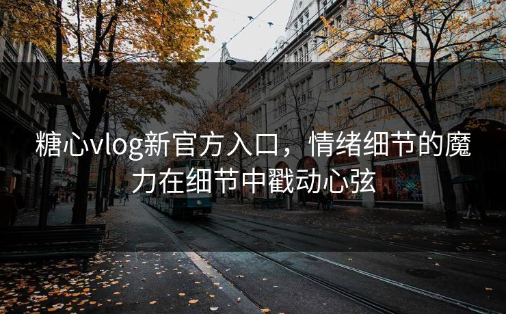 糖心vlog新官方入口，情绪细节的魔力在细节中戳动心弦