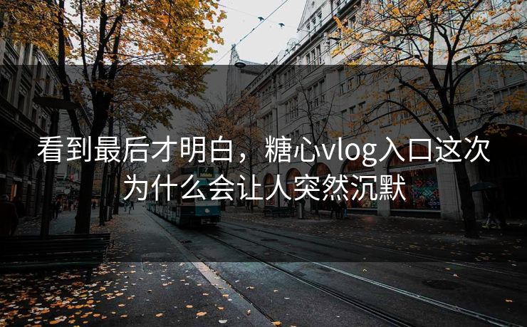 看到最后才明白，糖心vlog入口这次为什么会让人突然沉默