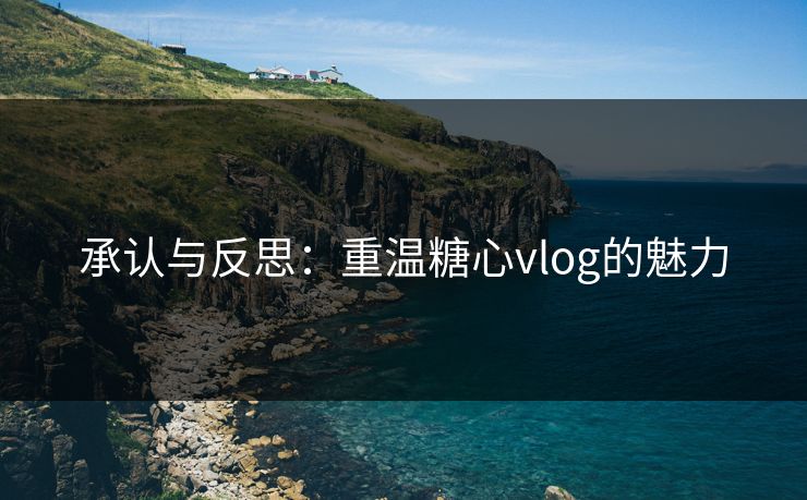 承认与反思：重温糖心vlog的魅力