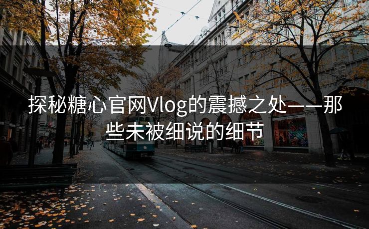 探秘糖心官网Vlog的震撼之处——那些未被细说的细节