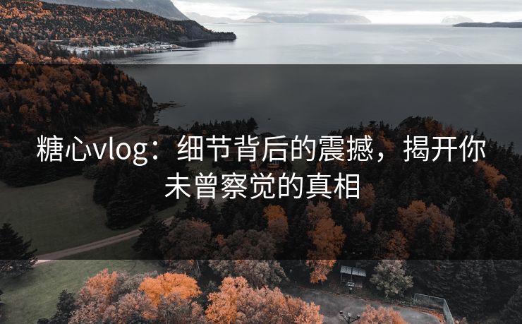 糖心vlog:细节背后的震撼,揭开你未曾察觉的真相